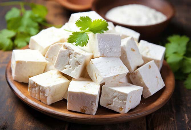 Paneer Processing Plants